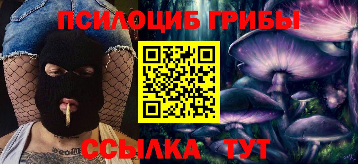 Псилоцибиновые грибы Psilocybe  сколько стоит  Псилоцибиновые грибы мицелий  Камень-на-Оби  Вход с VPN 