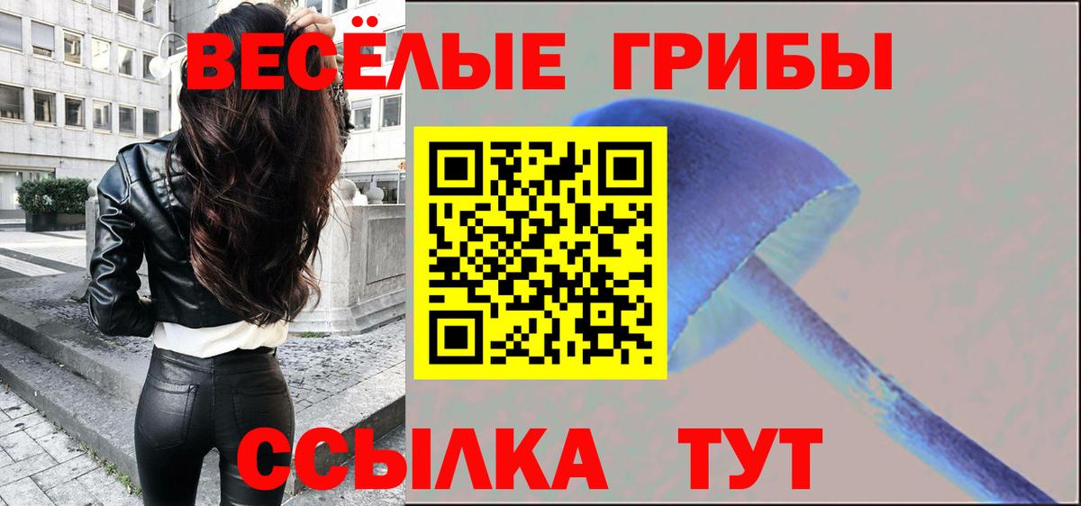 Псилоцибиновые грибы прущие грибы Камень-на-Оби